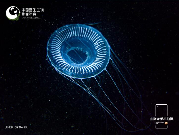QQ截图20211227132657 QQ截图20211227132657